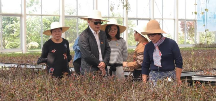 “百名干部聯(lián)百企破百題”專項(xiàng)行動